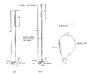 6194bf1e54ba224f97a100a3