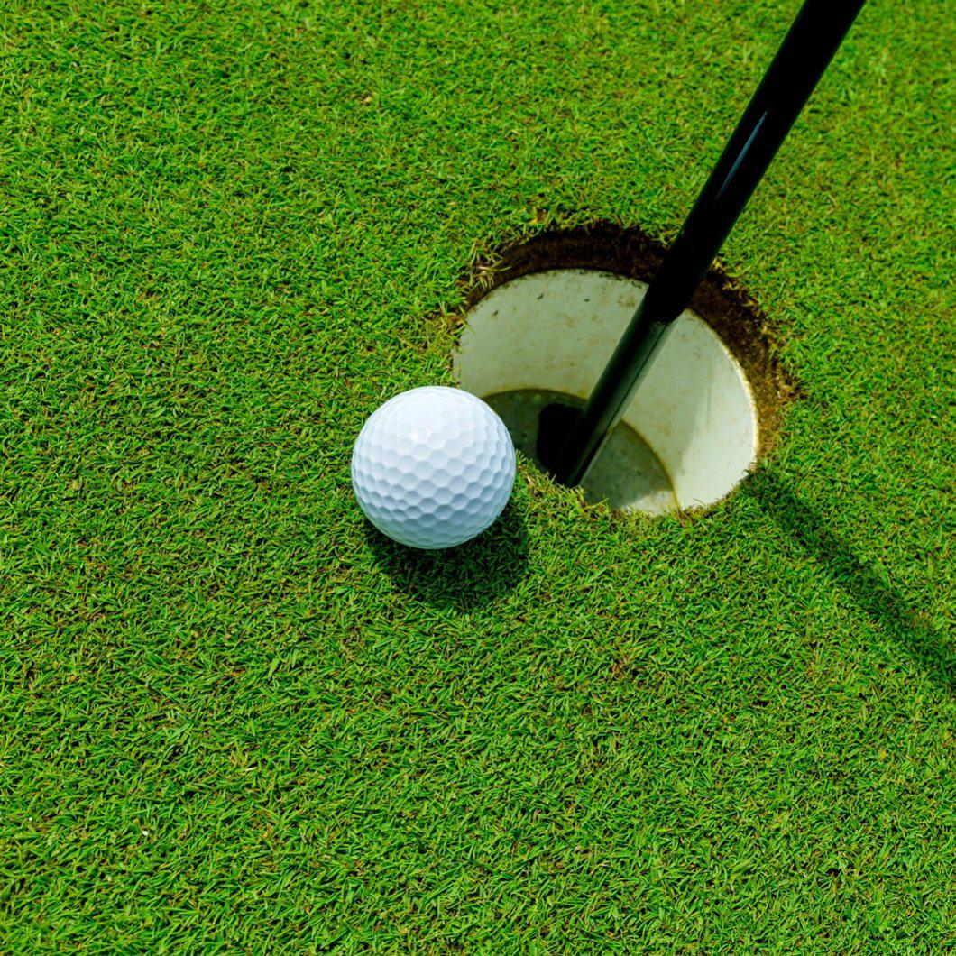 Cỏ sân golf là gì? Phân loại các loại cỏ sân golf