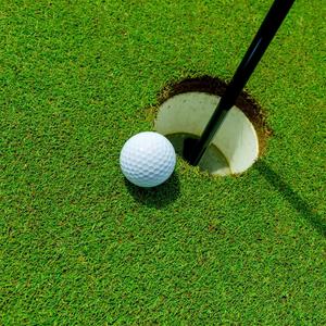 Cỏ sân golf là gì? Phân loại các loại cỏ sân golf