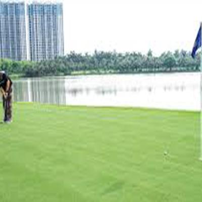 Hướng dẫn cách đọc line trong golf siêu đơn giản 