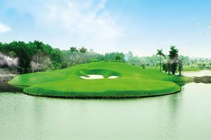 Cập nhật tình hình các sân golf mở cửa trở lại mới nhất